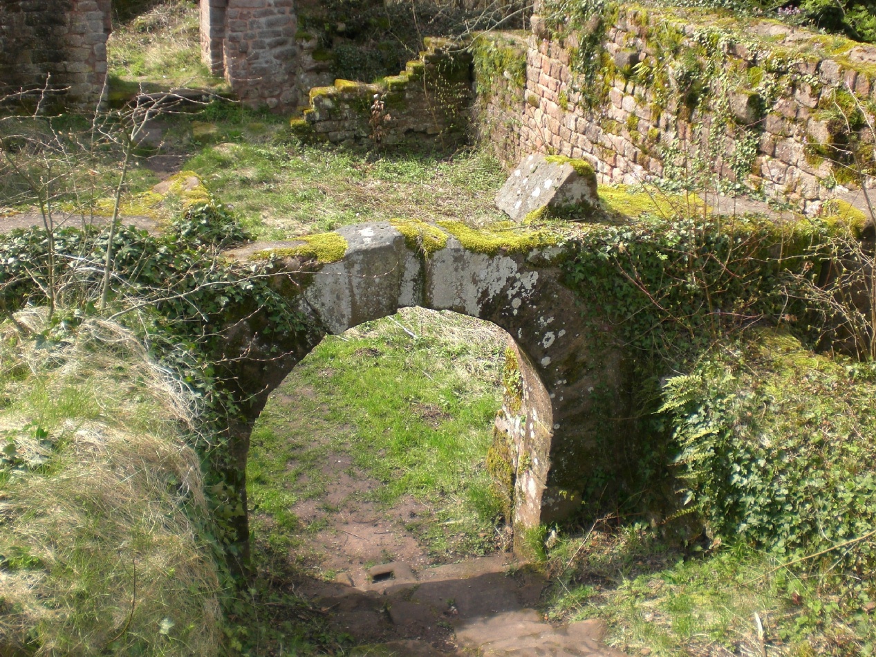  pallas 